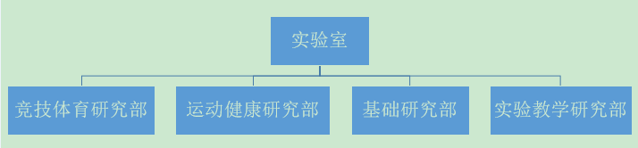 行政构架2.PNG